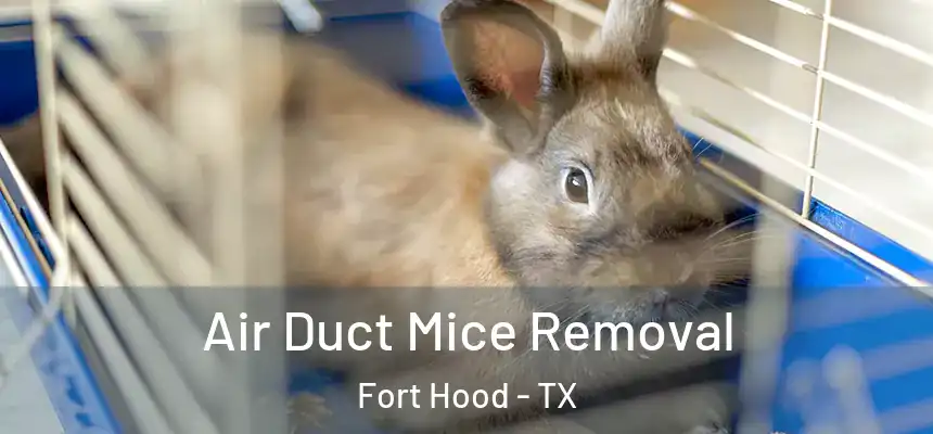  Air Duct Mice Removal Fort Hood - TX