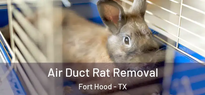 Air Duct Rat Removal Fort Hood - TX