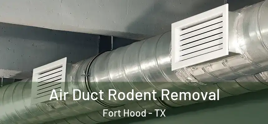 Air Duct Rodent Removal Fort Hood - TX