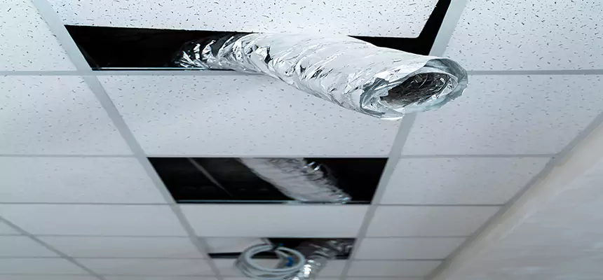 Our Air Duct Pet Hair Removal Services in Fort Hood, TX