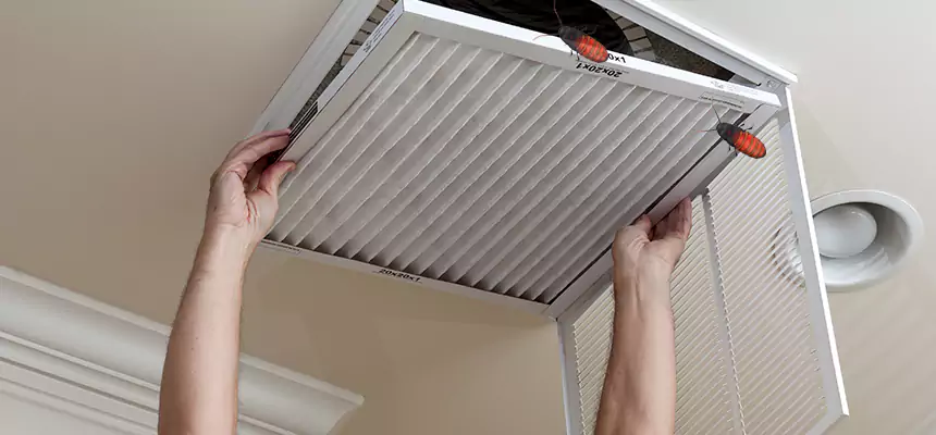 Our Insect Removal from Air Ducts Services in Fort Hood, TX