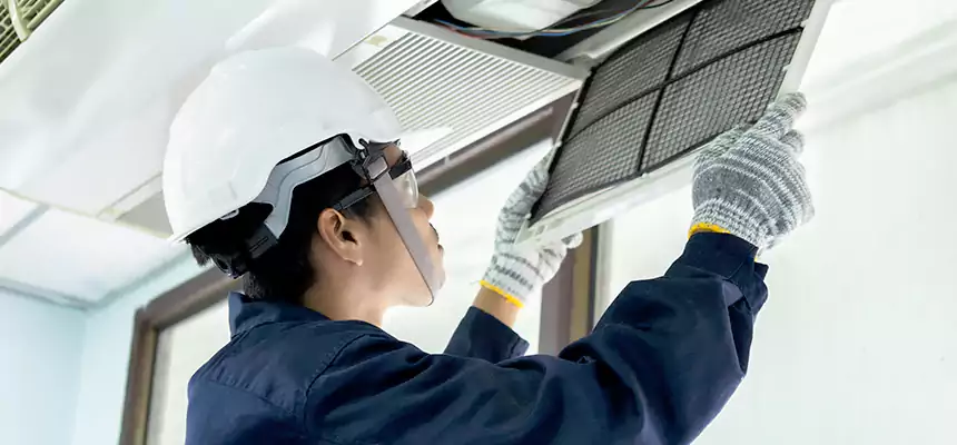 Our Mold & Mildew Removal from Air Ducts Services in Fort Hood, TX