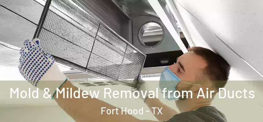 Mold & Mildew Removal from Air Ducts Fort Hood - TX