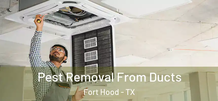 Pest Removal From Ducts Fort Hood - TX