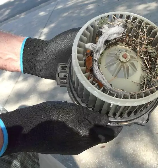 About Air Duct Mice Removal in Fort Hood, TX