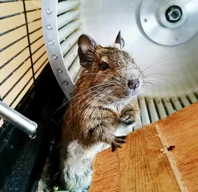 Why Homeowners & Businesses Trust Us Fort Hood, TX