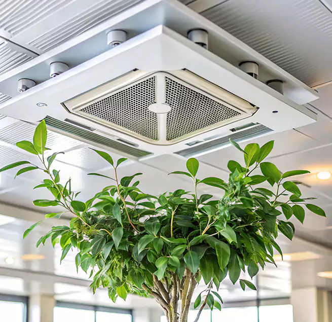 Why Homeowners & Businesses Trust Us in Fort Hood, TX?